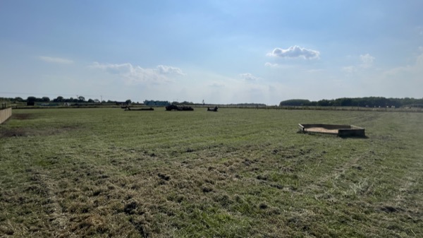 Dog in the enclosed field at Curbridge Dog Park