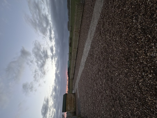 Dog enjoying a session at Curbridge Dog Park