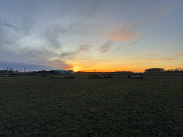 Dog playing in the secure field at Curbridge Dog Park