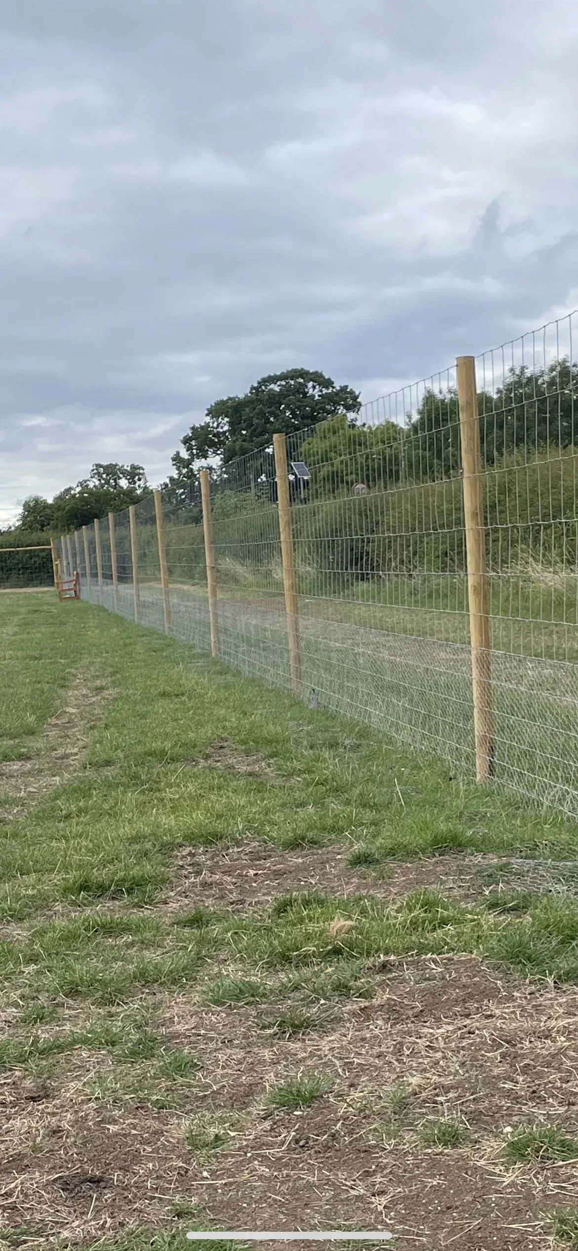 6ft fencing running along the perimeter of Curbridge Dog Park